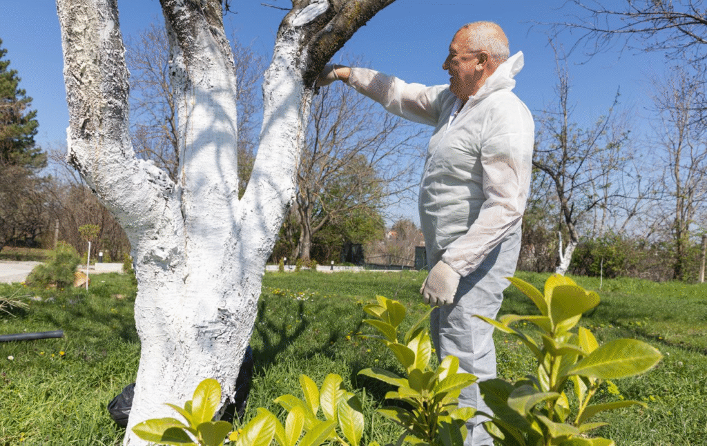 «Правильні рослини — в правильних місцях», — львівська садівниця про поради з озеленення та поширені міфи догляду за рослинами - 11