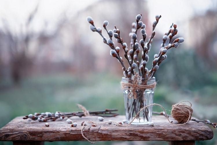 «На освяченій вербі можна врятуватися від кінця світу», — дослідниця про вірування та символіку Вербної неділі - 10