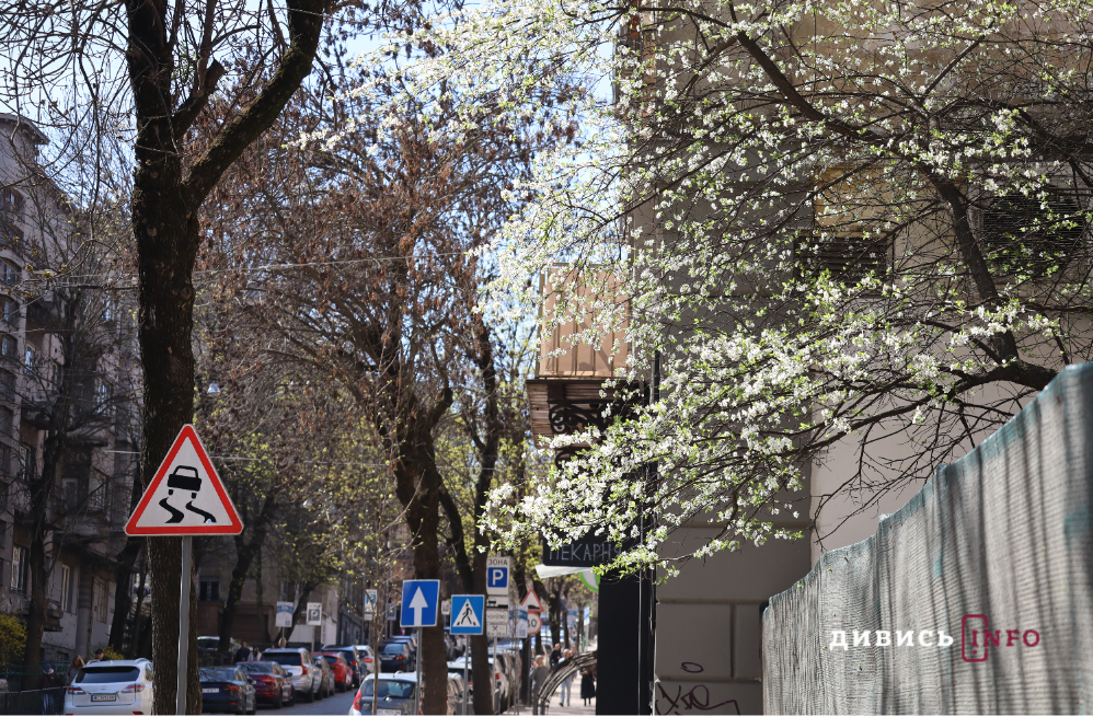 Яким є Львів навесні: світлини з квіткових локацій міста - 12