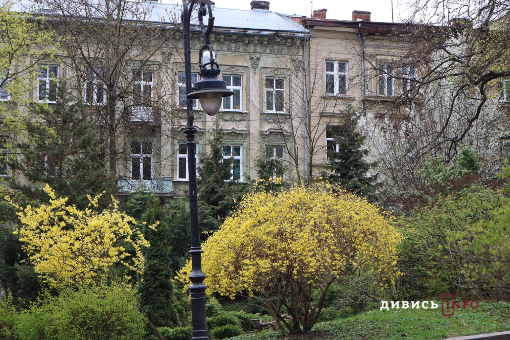Яким є Львів навесні: світлини з квіткових локацій міста - 7
