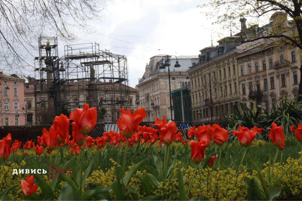 Яким є Львів навесні: світлини з квіткових локацій міста - 22