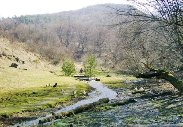 Вежа пам'яті повстанців, карстові озера й гори: куди поїхати туристам на Львівщині - 4