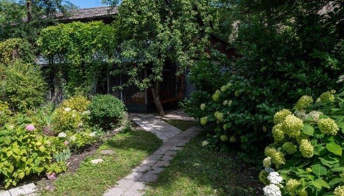 Де побачити магнолії, сакури й екзотичні рослини: ботанічні сади та дендропарки Львівщини - 3