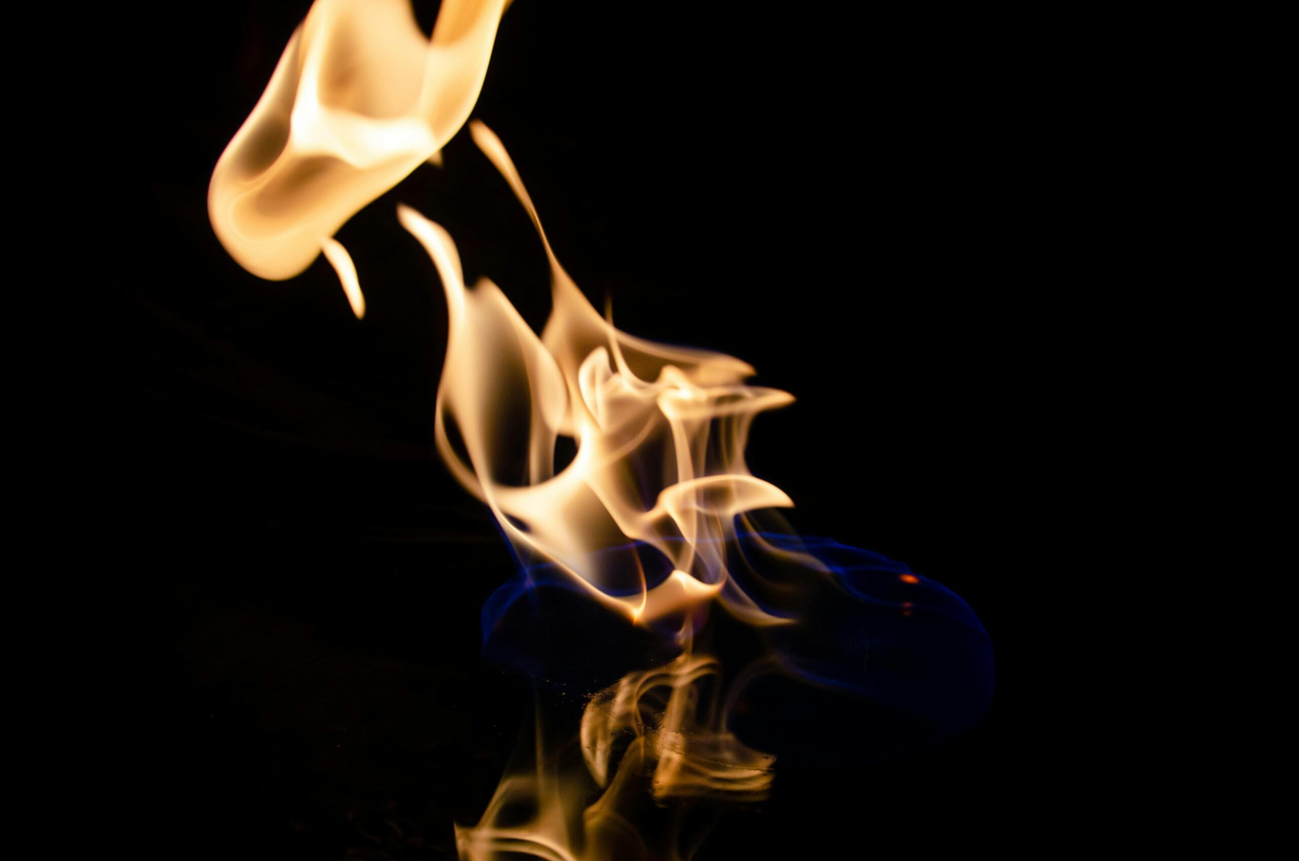 pexels-heidi-daniels-2308315-29734601