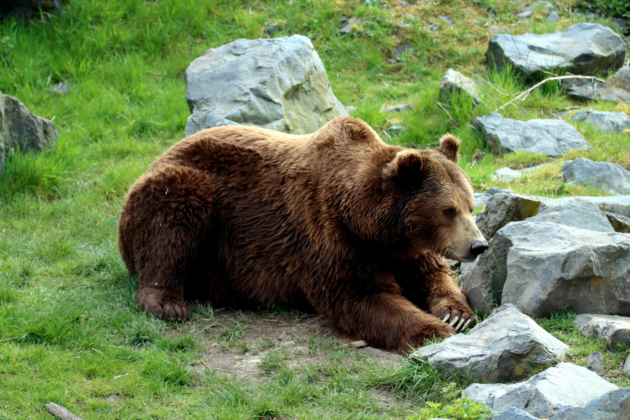 pexels-sunny67-36699096