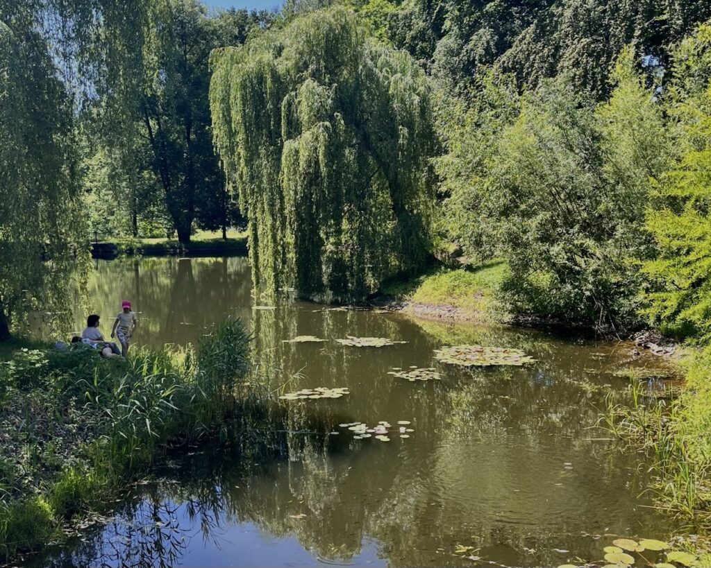 Захворюваність на грип та ГРВІ, Меморіал Героїв, туристичні маршрути Львівщини: головні новини дня - 6