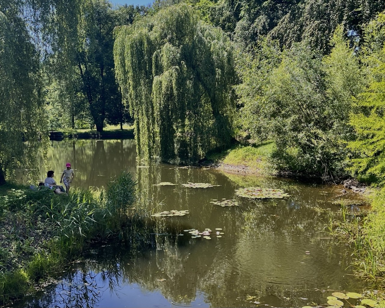 ботанічний сад франка