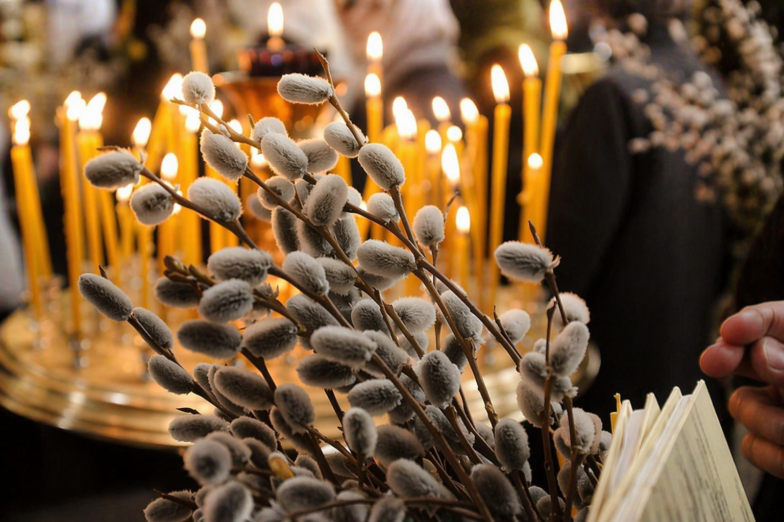 «На освяченій вербі можна врятуватися від кінця світу», — дослідниця про вірування та символіку Вербної неділі