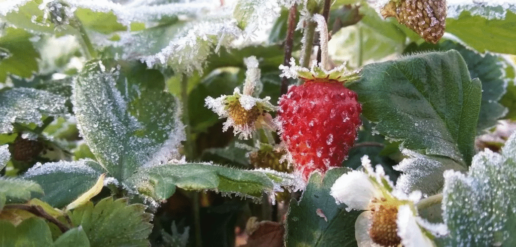 Нові укриття, пам'ять про Ірину Фаріон, молодіжні ініціативи Львова: головні новини дня - 6