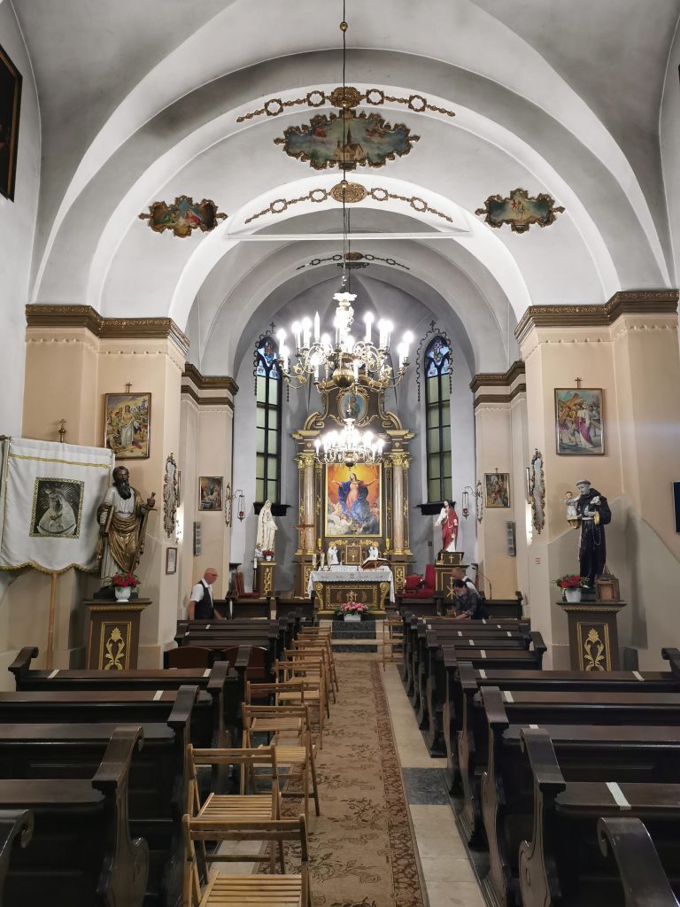 Мінеральні води, карпатські панорами та курортна класика: чим приваблює Трускавецька громада - 4