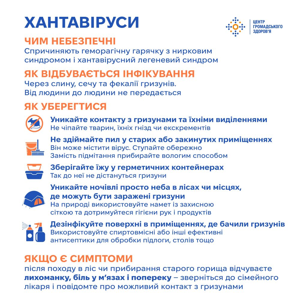 «Смертність до 30%»: що таке хантавірус, як від нього вберегтися і чи циркулює на Львівщині - 2