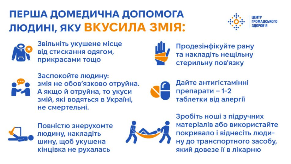 «Не варто чекати, що мине саме»: як діяти після укусу змії та які види є на Львівщині - 7