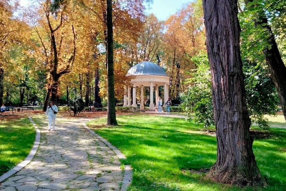 Де у Львові організувати пікнік: добірка десяти парків - 16