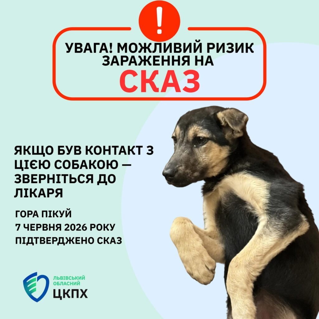 У собаки на горі Пікуй на Львівщині виявили сказ: кому варто звернутись до лікаря - 1