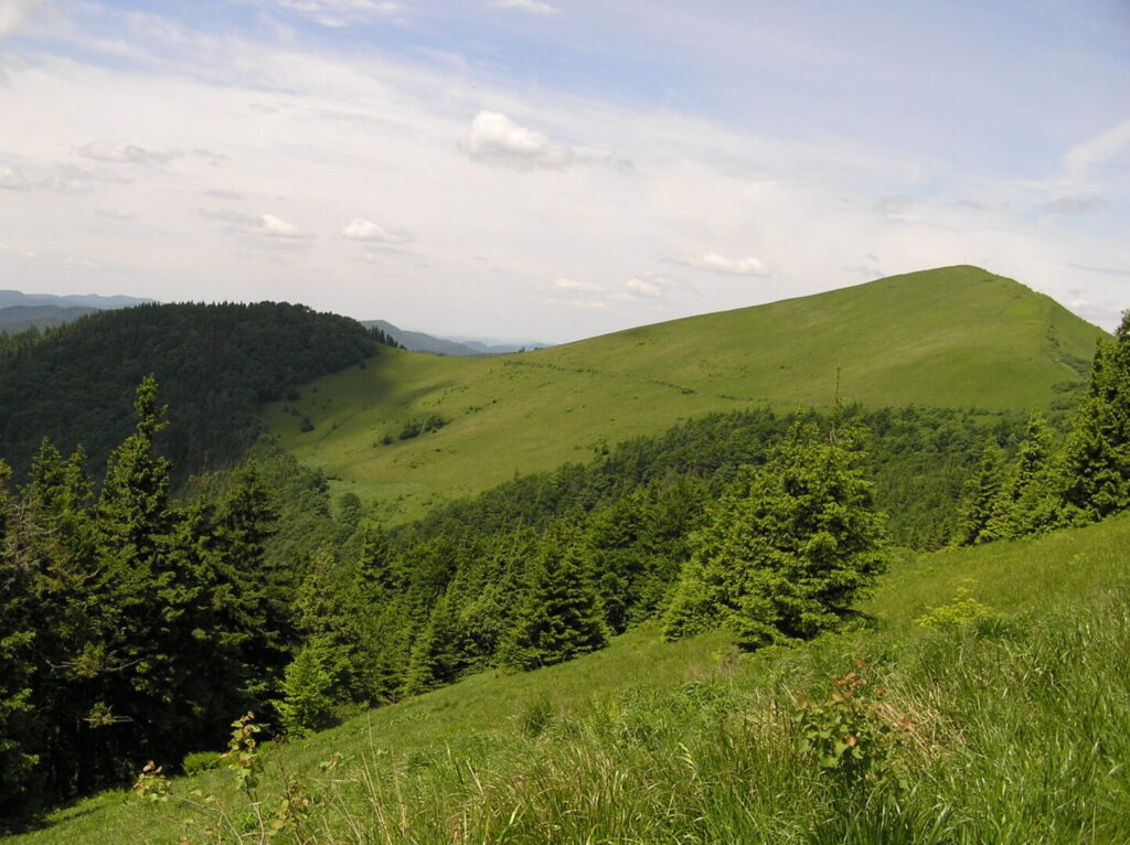 Куди поїхати на Львівщині: від старовинного замку до озера - 2