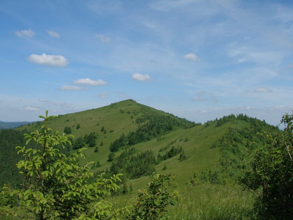 Куди поїхати на Львівщині: від старовинного замку до озера - 3