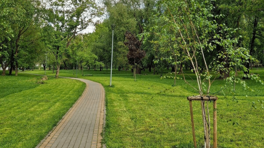 У Львові та громаді оновлять та облаштують нові зелені зони: які парки й сквери планують - 10