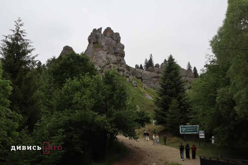 image (23)