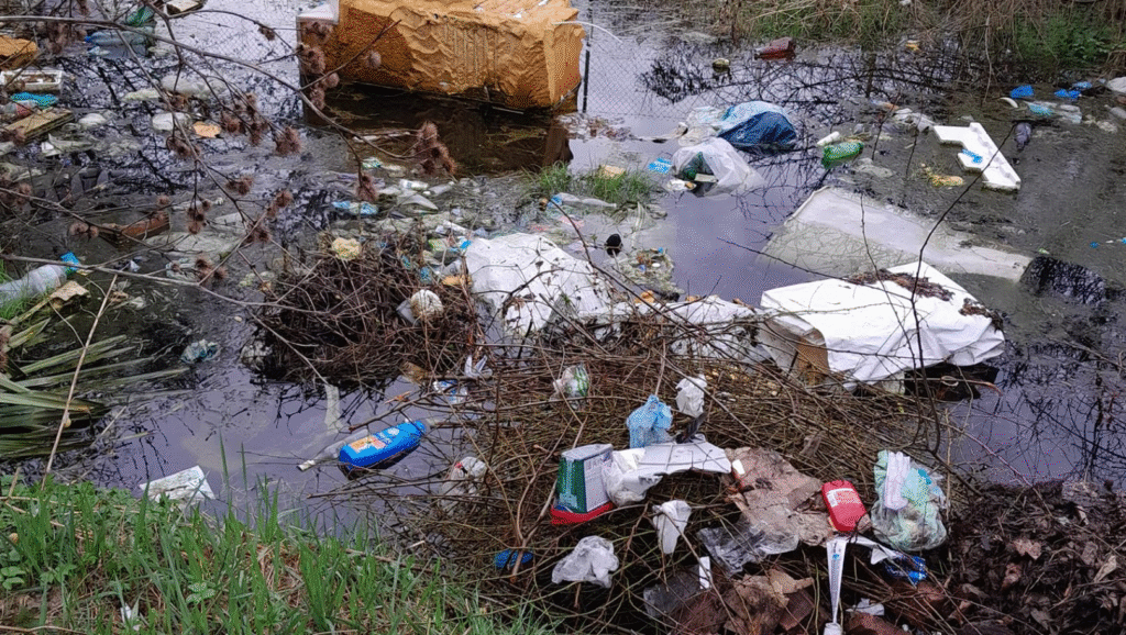 Підземні водоспади, забуті озера та бобри, — дигер розповів про таємниці водойм Львова - 11