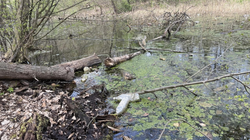 Підземні водоспади, забуті озера та бобри, — дигер розповів про таємниці водойм Львова - 7