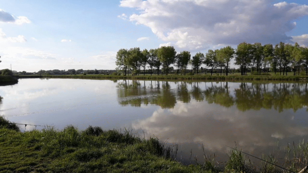 Де порибалити на Львівщині: добірка локацій - 4