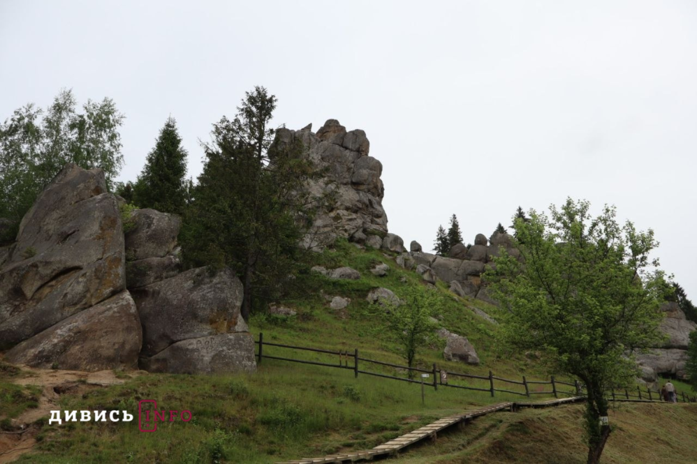 image (29)
