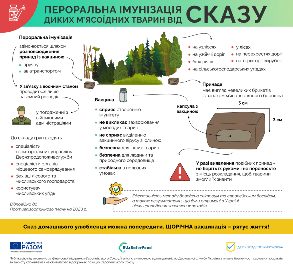 Диких тварин не треба «рятувати» без фахівців: як діяти під час зустрічі в лісі чи на дорозі - 9