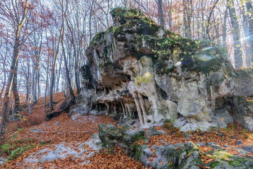 Печери, скелі й водоспади: куди поїхати на Львівщині на вихідні - 4