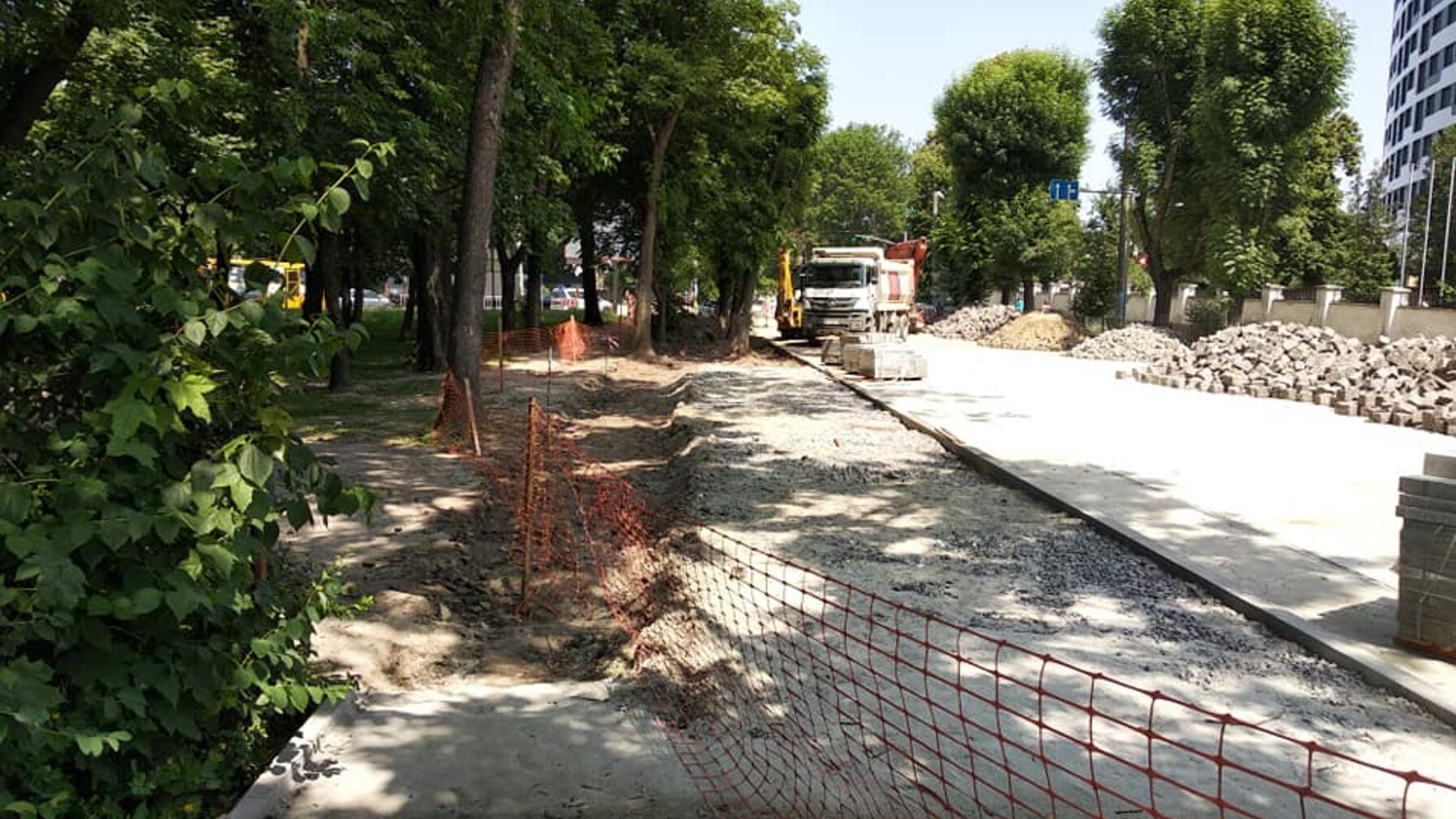 дерева