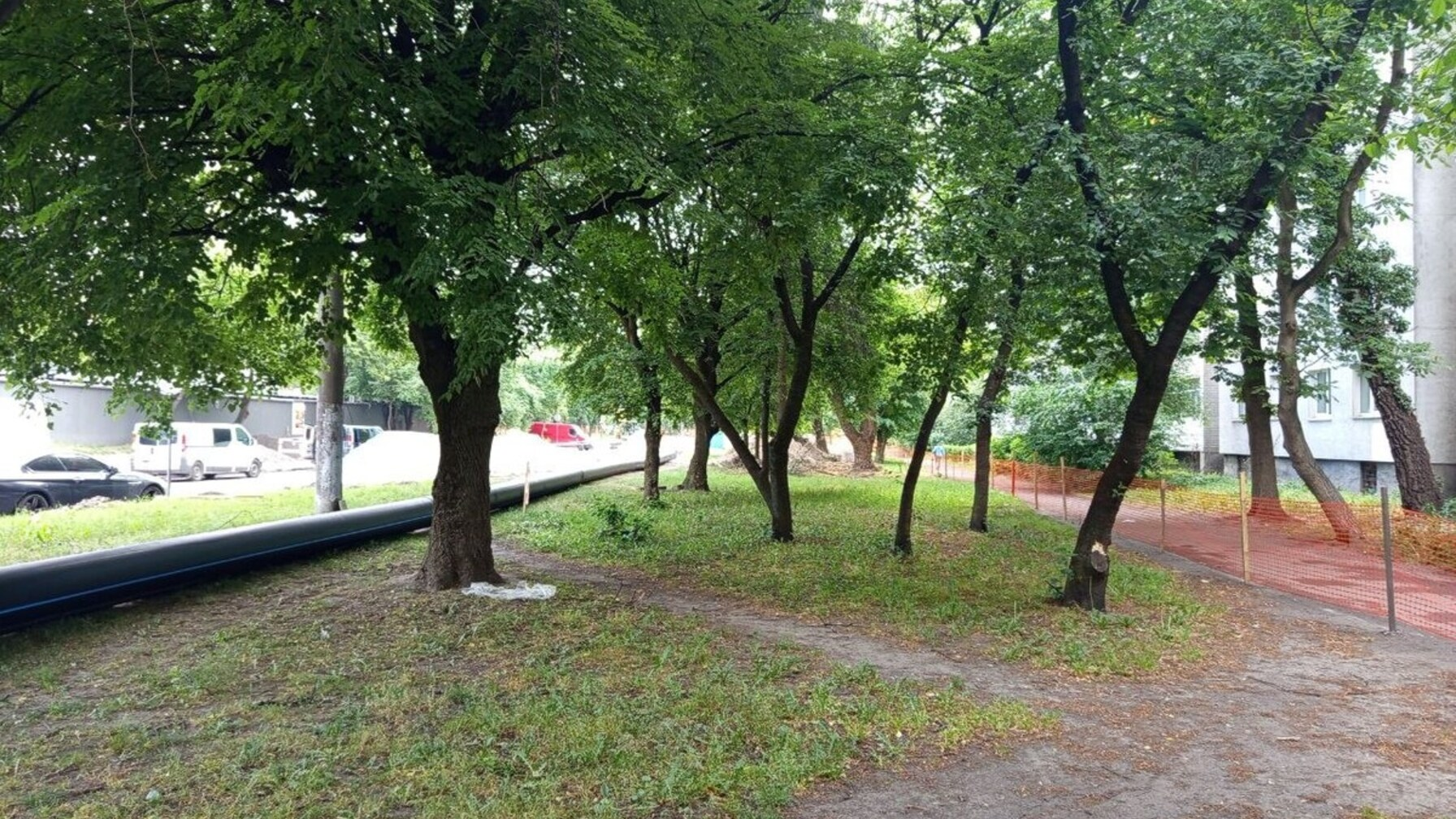 дерева