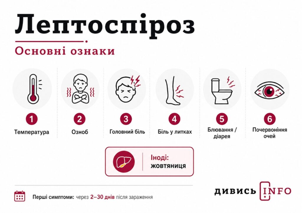 «Випадки сальмонельозу зросли удвічі»: про які інфекції варто памʼятати влітку та як вберегтися на відпочинку - 3