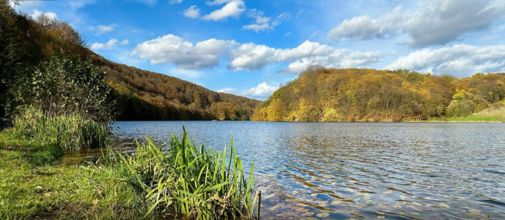 Які туристичні локації можна відвідати на Львівщині - 5