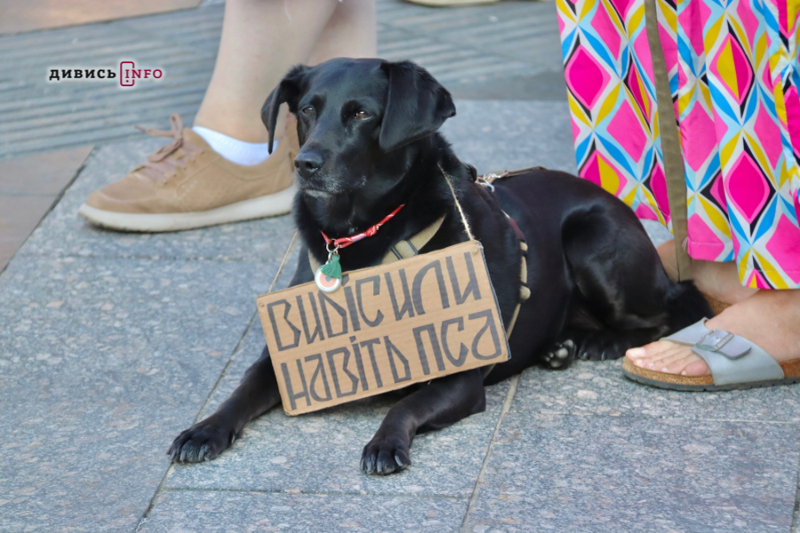 У Львові провели підсумкову акцію протесту проти відставки Федорова: що буде далі - 18