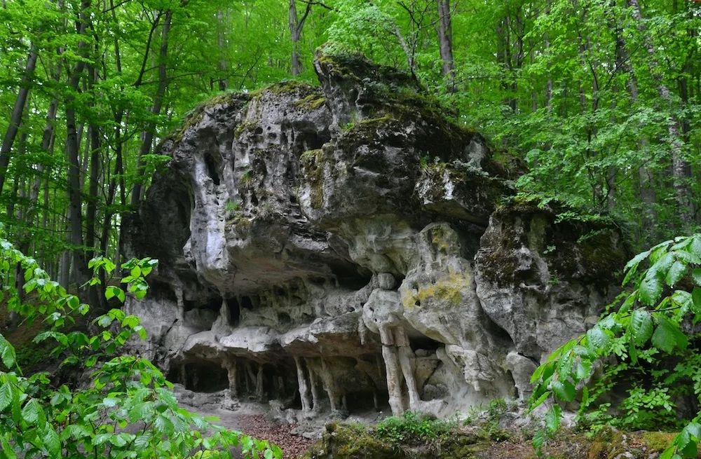 Мальовничі місця Львівщини для мандрівки на вихідні - 1