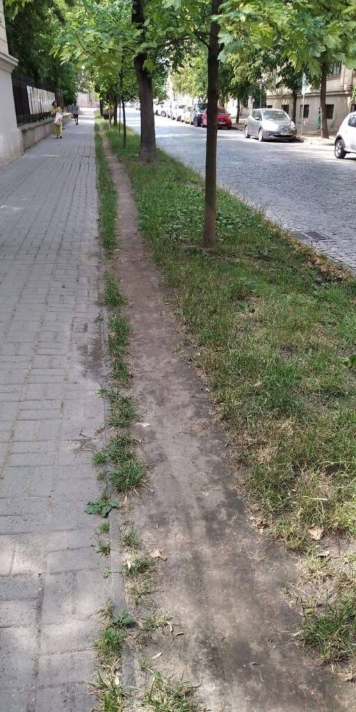 Велодоріжки Львова: чому понад 150 кілометрів веломережі ще не гарантують комфортного руху - 6
