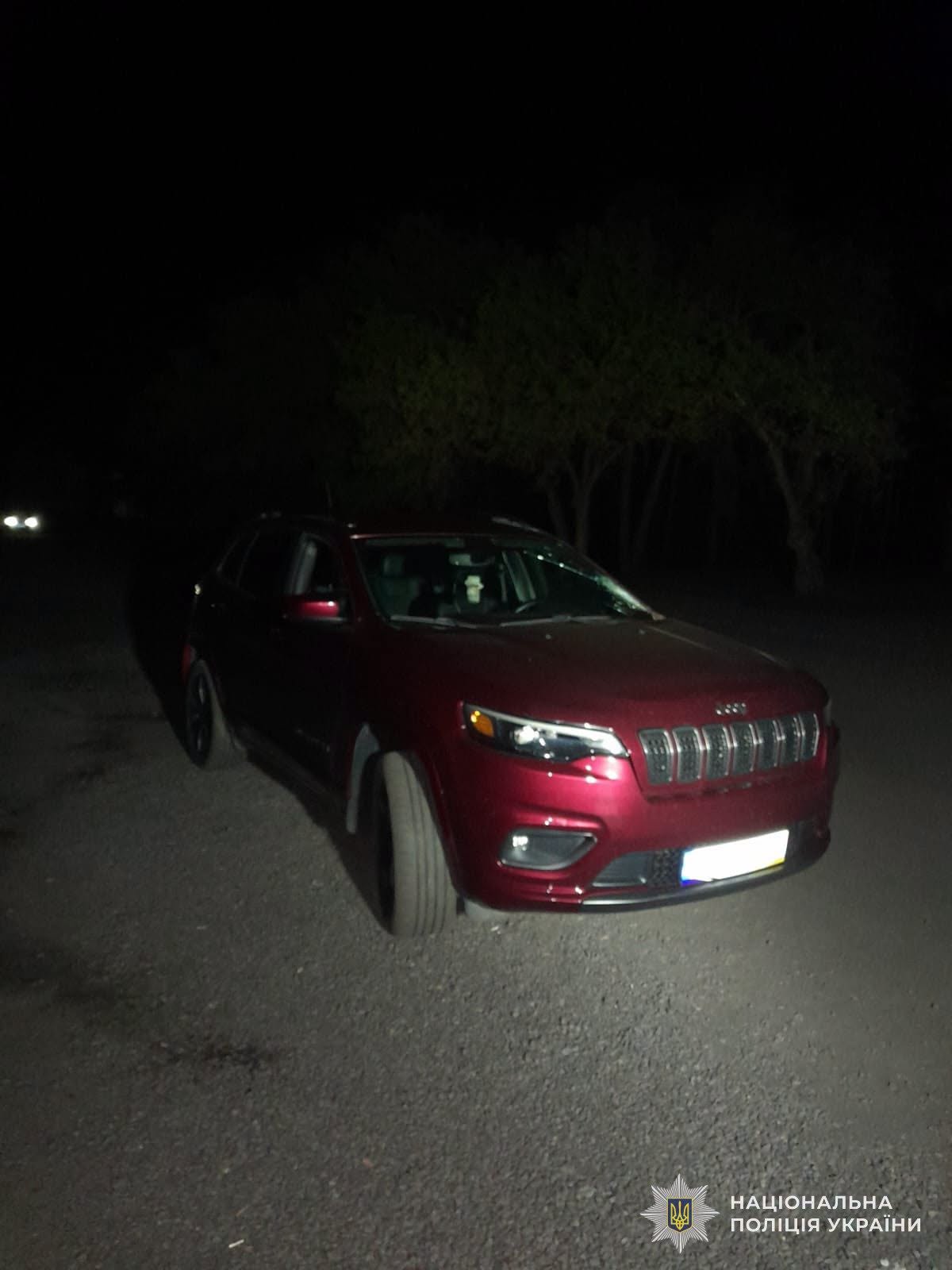 На Львівщині п’яний водій збив двох пішоходів - 1