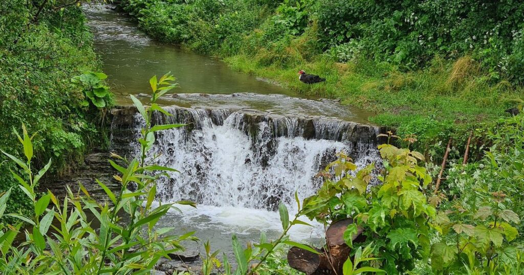 Куди поїхати на Львівщині, аби побачити водоспади — добірка - 1