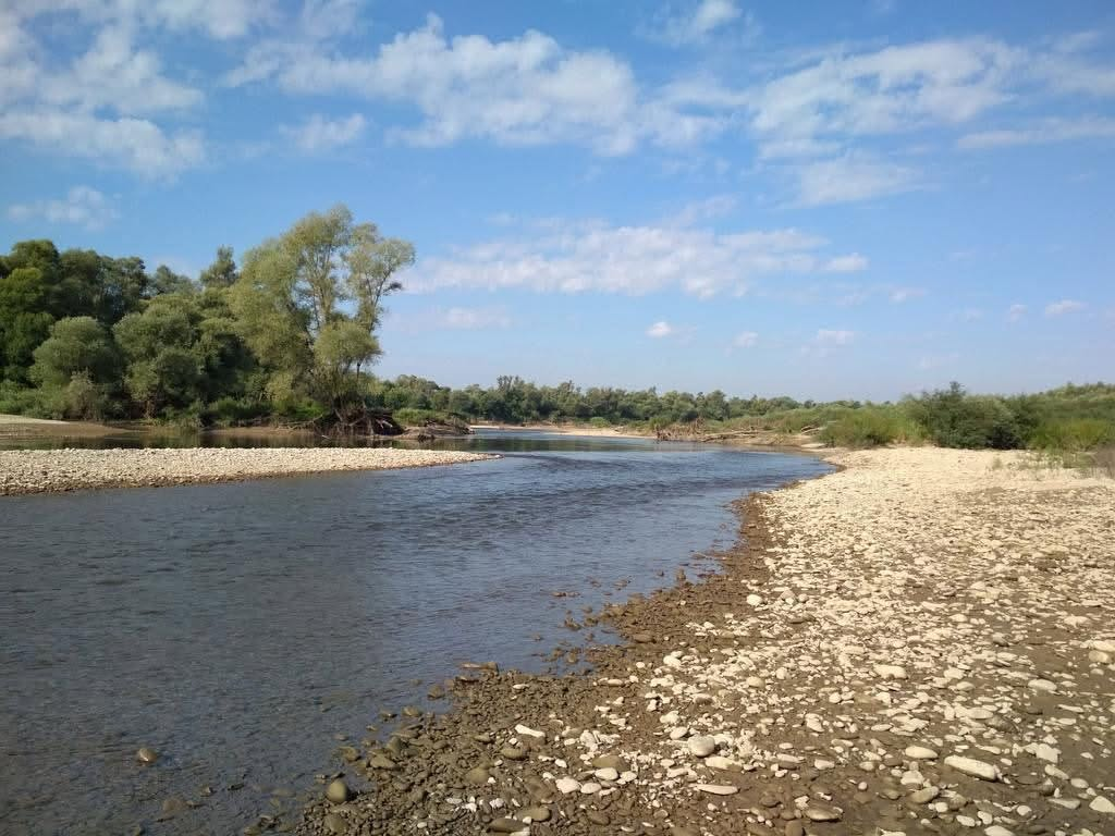 Річки міліють, або Чи може Львівщина залишитися без води - 4