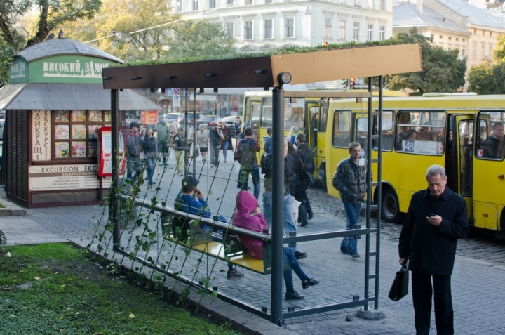 «Кишені», недоступні зупинки та спека в салонах: що не так із громадським транспортом Львова - 11
