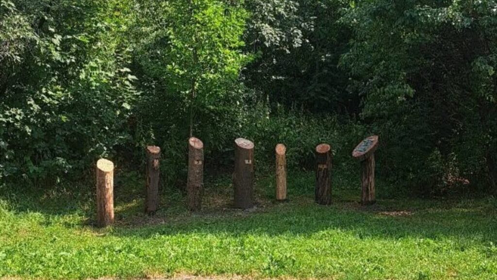 В одному з львівських парків облаштували освітню галявину - 1