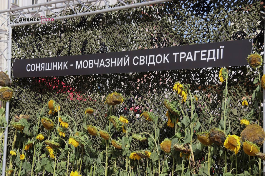 соняшник