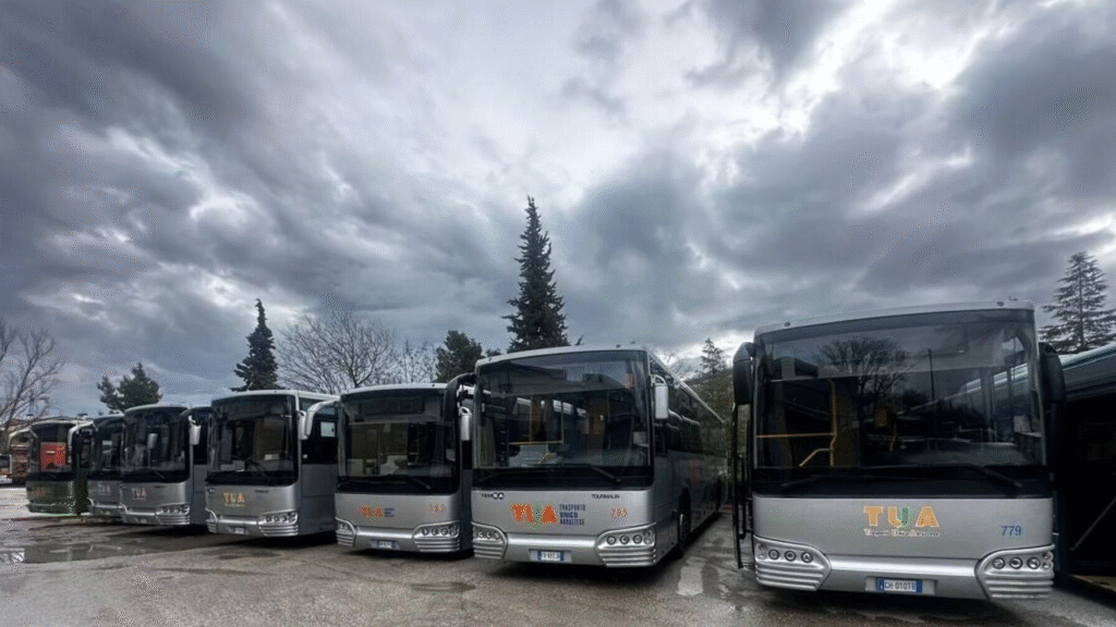 Пасажиропотік зростає, та водіїв бракує : що з громадським транспортом Львова - 4