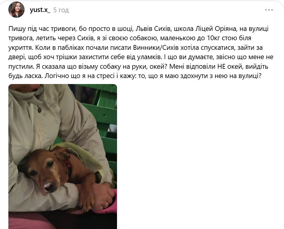 Львів'янку нібито не впустили до укриття ліцею: що відомо та якими є правила - 1