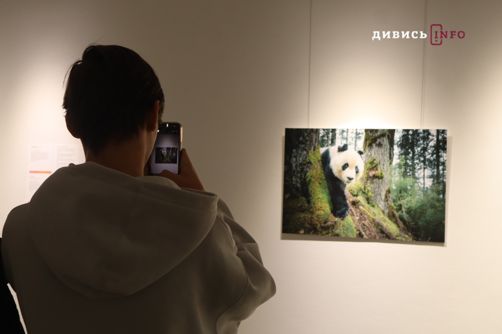 У Львові відкрили виставку документальних світлин переможців World Press Photo 2026 (фото) - 6